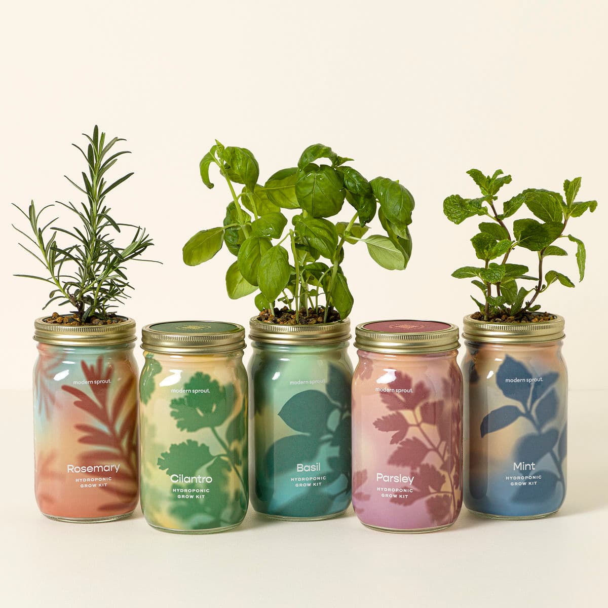 Uncommon Goods | Mason Jar Indoor Herb Garden | Hydroponic Grow Kit
