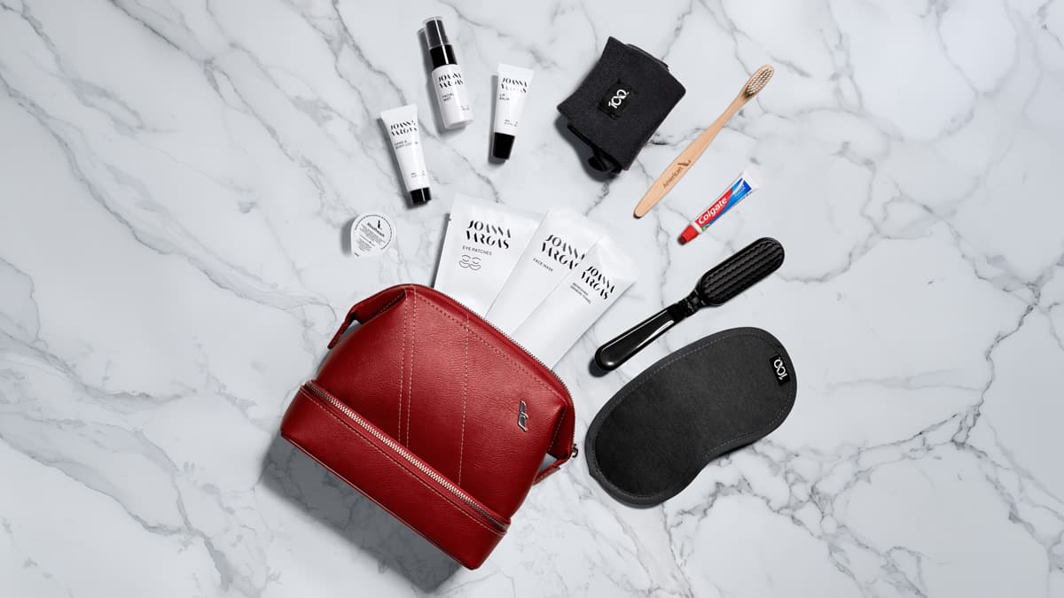 Business Travel Kit