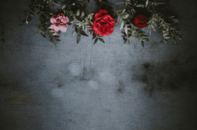 Ryan Mitchell cover