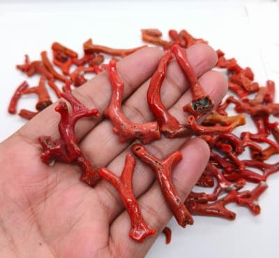 100 Crt Lot Mediterranean Sea Red Coral Rough Branch-Natural Red Coral Branch | eBay
